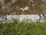 image of grave number 313165